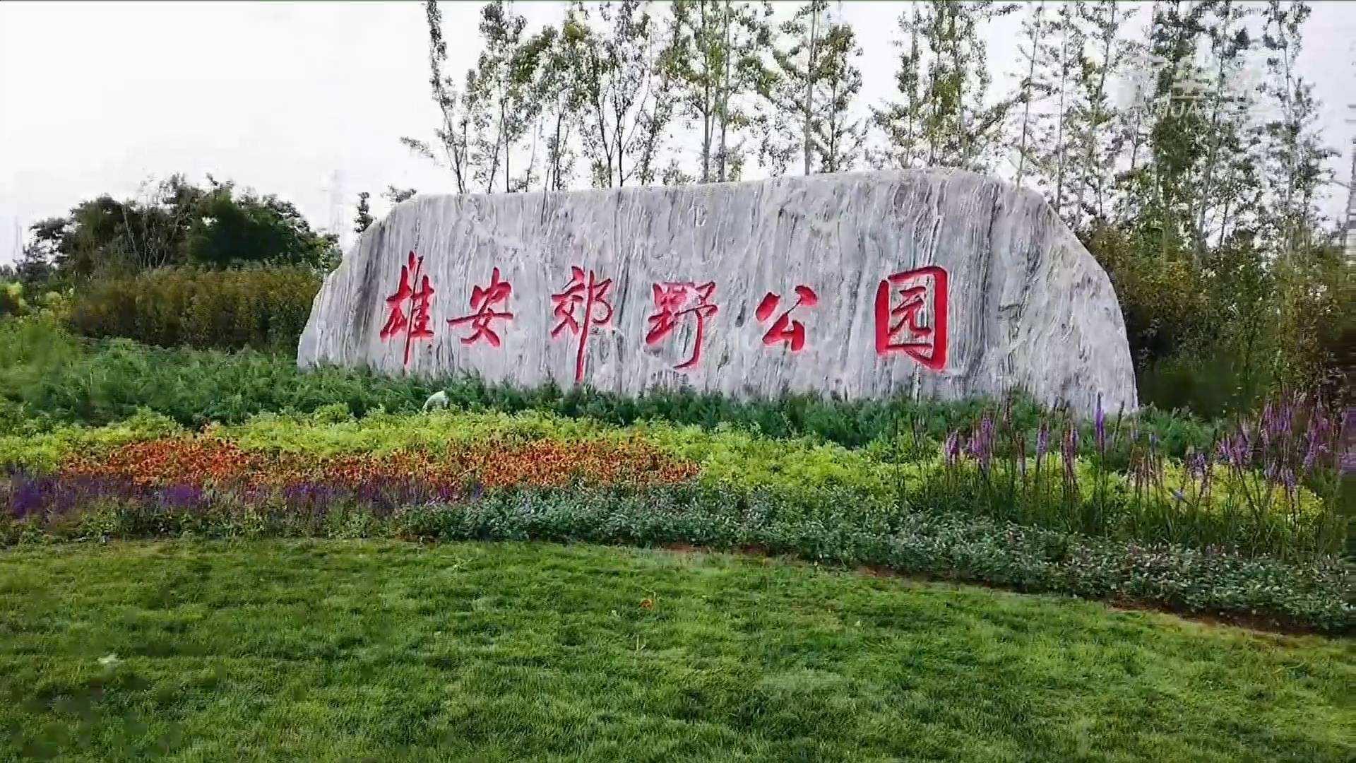 beat365官网电气雄安郊野公园建设工程及配套设施项目